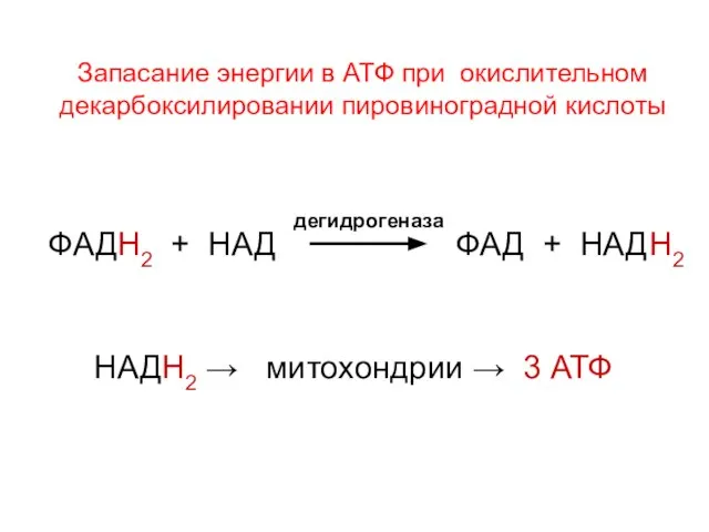 ФАДН2 + НАД ФАД + НАДН2 НАДН2 → митохондрии → 3