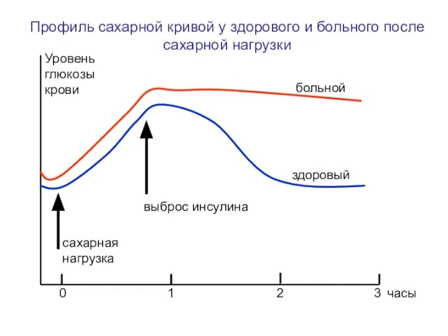 здоровый больной сахарная нагрузка выброс инсулина Уровень глюкозы крови часы 0