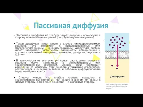 Пассивная диффузия Пассивная диффузия не требует затрат энергии и происходит в