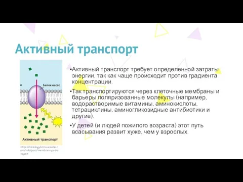 Активный транспорт Активный транспорт требует определенной затраты энергии, так как чаще