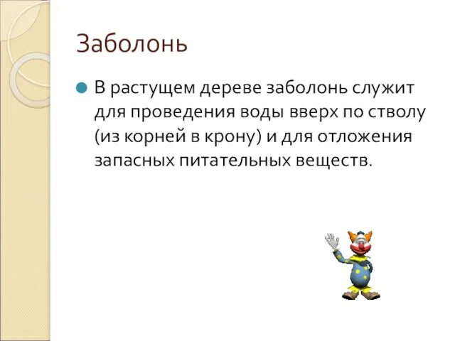 Заболонь В растущем дереве заболонь служит для проведения воды вверх по