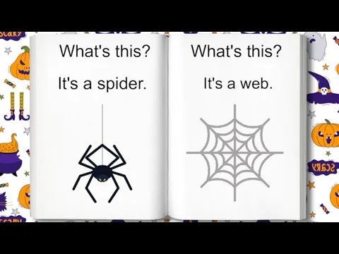 What's this? It's a web. What's this? It's a spider.