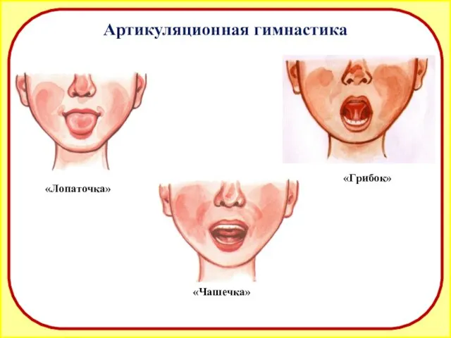 Артикуляционная гимнастика «Лопаточка» «Чашечка» «Грибок»