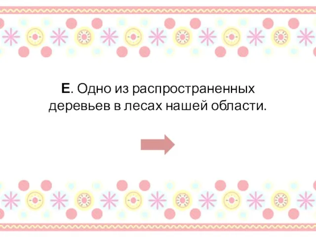 Е. Одно из распространенных деревьев в лесах нашей области.