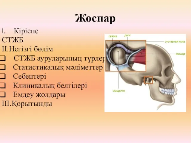 Жоспар Кіріспе СТЖБ II.Негізгі бөлім СТЖБ ауруларының түрлері Статистикалық мәліметтер Себептері Клиникалық белгілері Емдеу жолдары III.Қорытынды