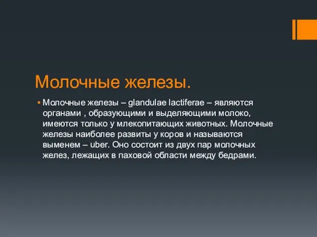 Молочные железы. Молочные железы – glandulae lactiferae – являются органами ,