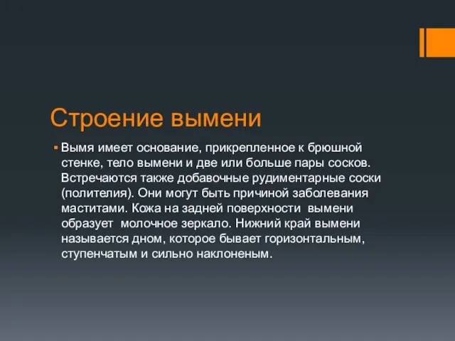 Строение вымени Вымя имеет основание, прикрепленное к брюшной стенке, тело вымени