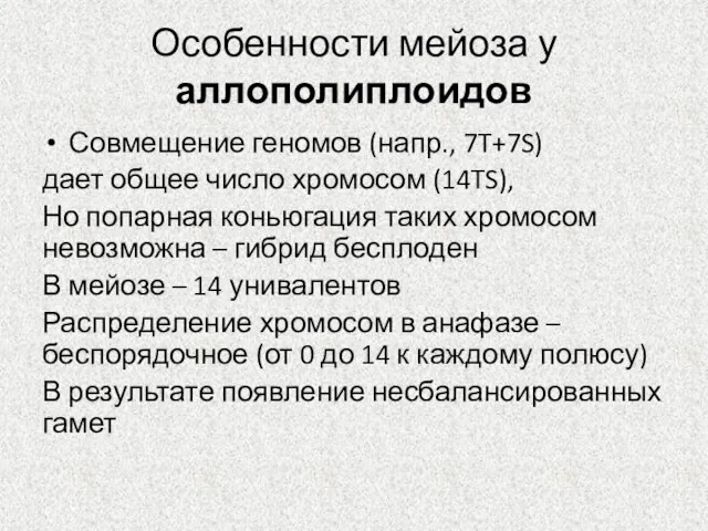 Особенности мейоза у аллополиплоидов Совмещение геномов (напр., 7T+7S) дает общее число