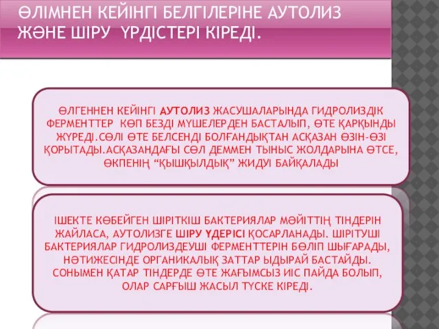 ӨЛІМНЕН КЕЙІНГІ БЕЛГІЛЕРІНЕ АУТОЛИЗ ЖӘНЕ ШІРУ ҮРДІСТЕРІ КІРЕДІ. ӨЛГЕННЕН КЕЙІНГІ АУТОЛИЗ