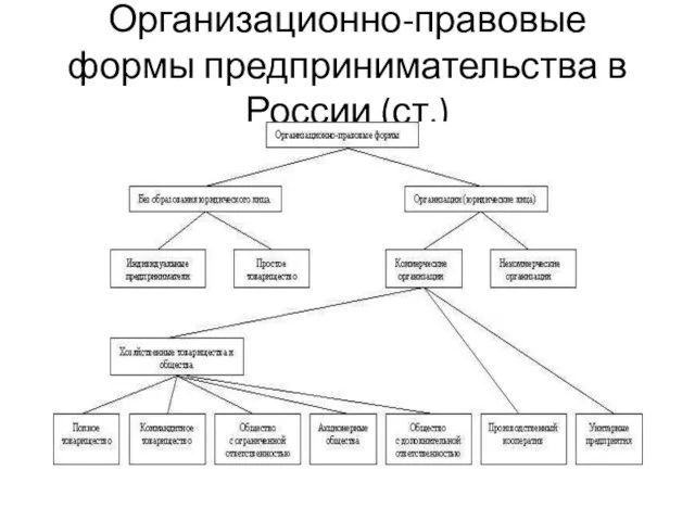 Организационно-правовые формы предпринимательства в России (ст.)