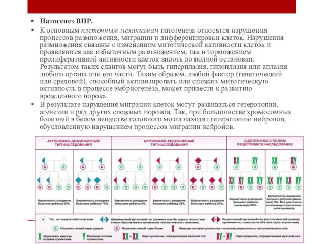 Патогенез ВПР. К основным клеточным механизмам патогенеза относятся нарушения процессов размножения,