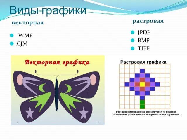 Виды графики векторная растровая WMF CJM JPEG BMP TIFF