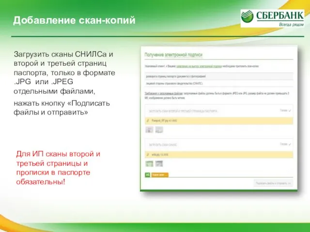 Добавление скан-копий Загрузить сканы СНИЛСа и второй и третьей страниц паспорта,