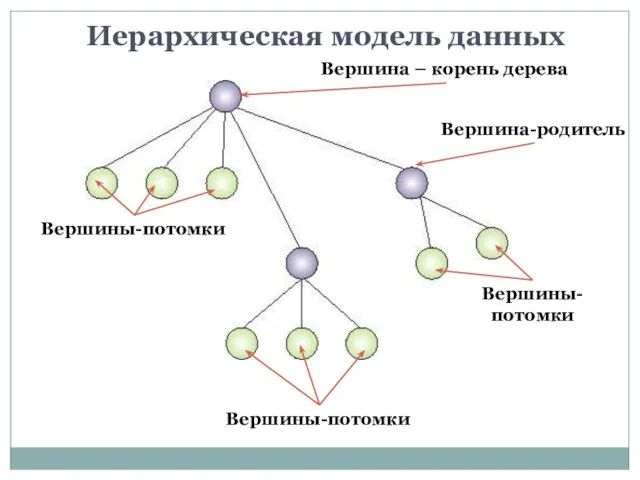 Иерархическая модель данных Вершина – корень дерева Вершина-родитель Вершины-потомки Вершины-потомки Вершины-потомки