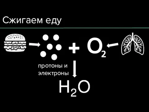 Сжигаем еду протоны и электроны