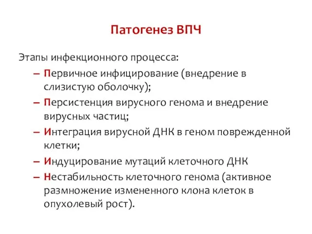 Патогенез ВПЧ Этапы инфекционного процесса: Первичное инфицирование (внедрение в слизистую оболочку);