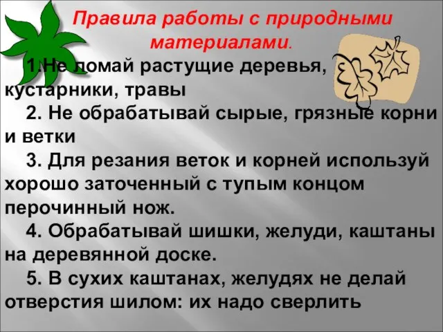 Правила работы с природными материалами. 1.Не ломай растущие деревья, кустарники, травы