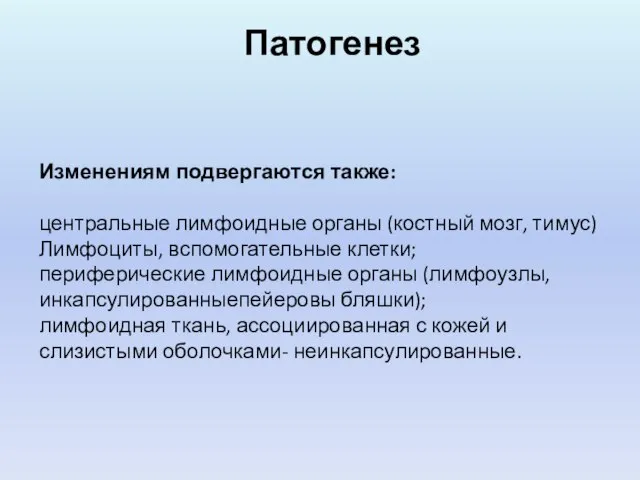 Изменениям подвергаются также: центральные лимфоидные органы (костный мозг, тимус) Лимфоциты, вспомогательные