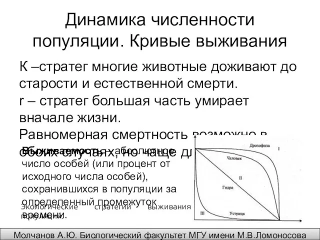 Динамика численности популяции. Кривые выживания К –стратег многие животные доживают до