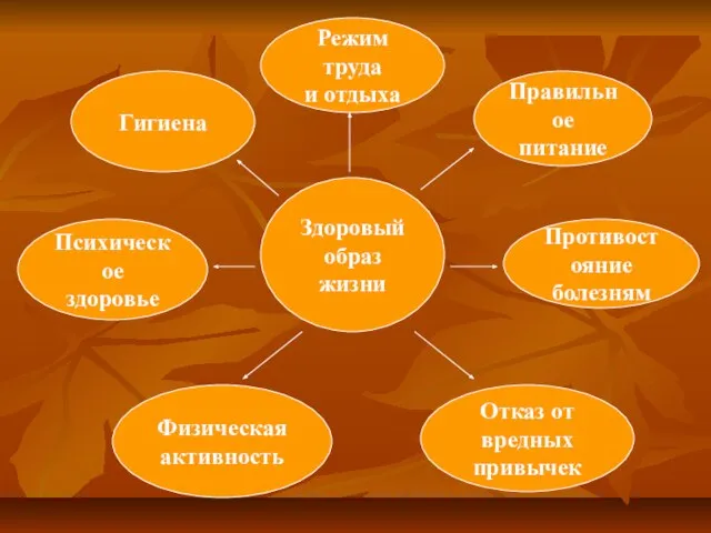 Здоровый образ жизни Режим труда и отдыха Гигиена Правильное питание Психическое