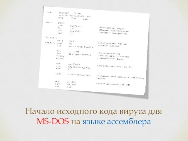 Начало исходного кода вируса для MS-DOS на языке ассемблера