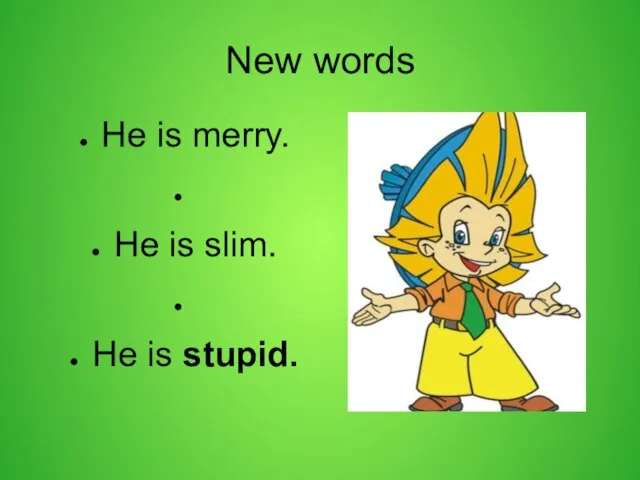 New words He is merry. He is slim. He is stupid.