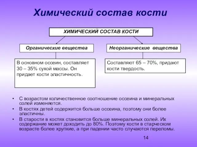 Химический состав кости С возрастом количественное соотношение оссеина и минеральных солей