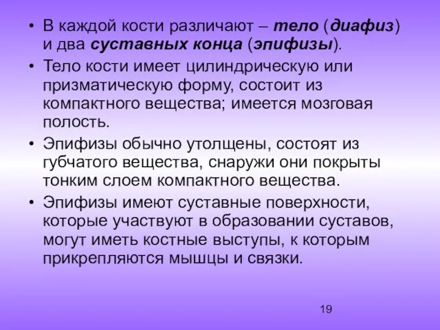 В каждой кости различают – тело (диафиз) и два суставных конца