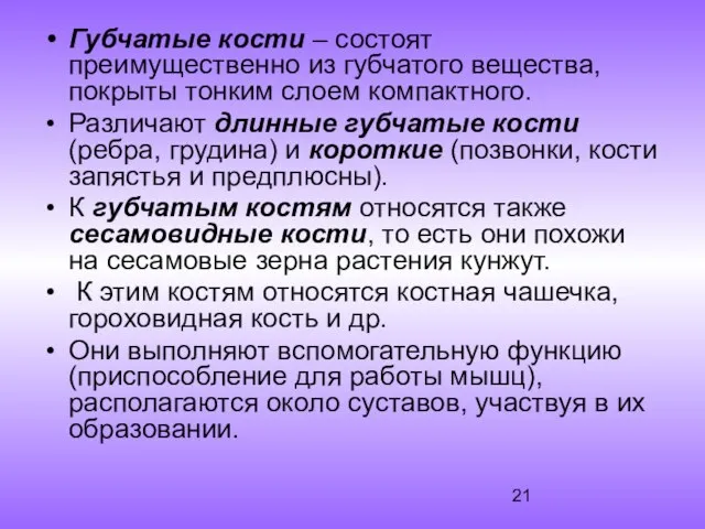 Губчатые кости – состоят преимущественно из губчатого вещества, покрыты тонким слоем