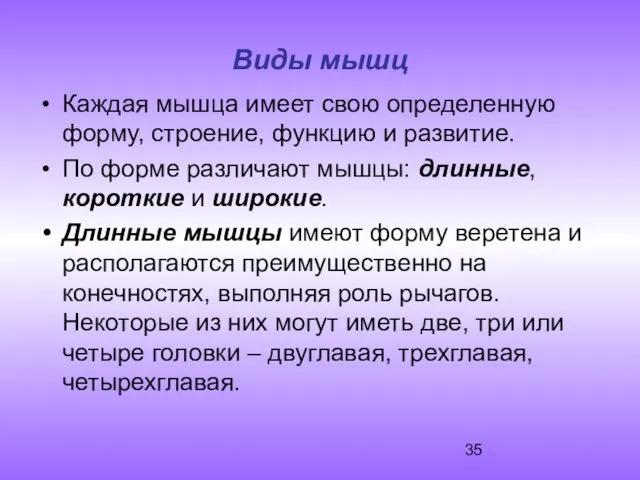 Виды мышц Каждая мышца имеет свою определенную форму, строение, функцию и