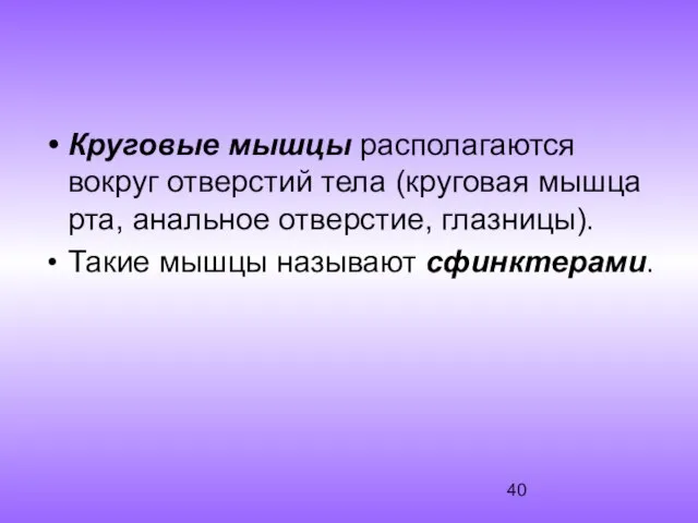 Круговые мышцы располагаются вокруг отверстий тела (круговая мышца рта, анальное отверстие, глазницы). Такие мышцы называют сфинктерами.