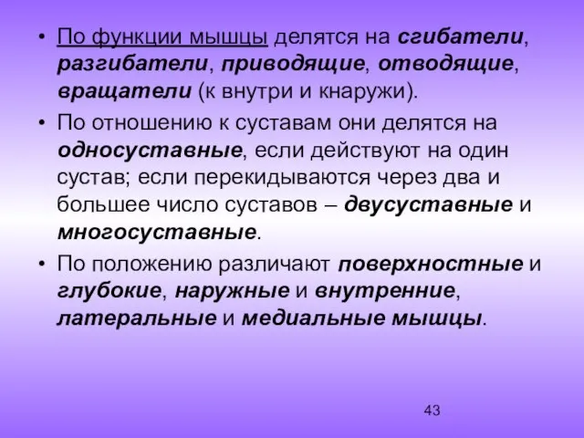 По функции мышцы делятся на сгибатели, разгибатели, приводящие, отводящие, вращатели (к