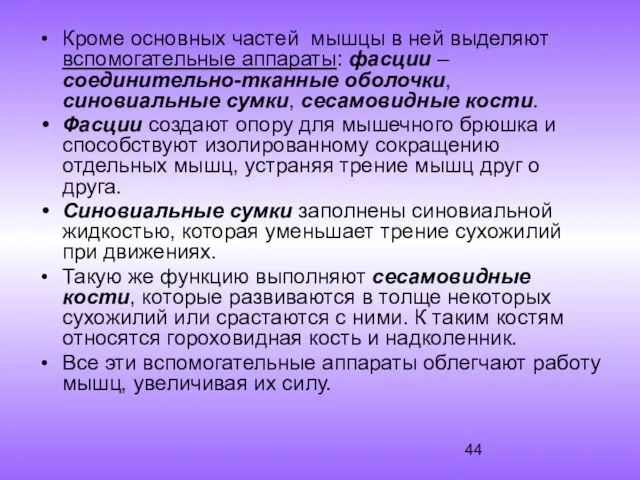 Кроме основных частей мышцы в ней выделяют вспомогательные аппараты: фасции –