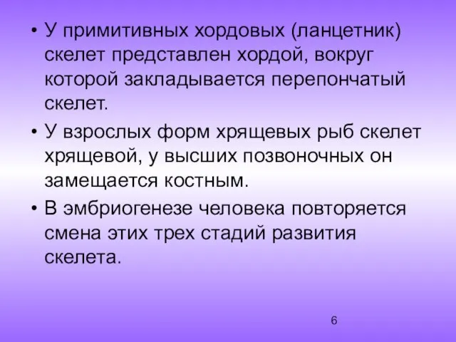 У примитивных хордовых (ланцетник) скелет представлен хордой, вокруг которой закладывается перепончатый