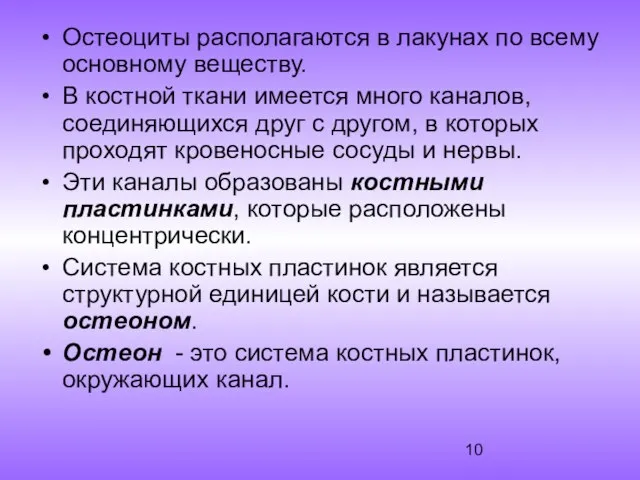 Остеоциты располагаются в лакунах по всему основному веществу. В костной ткани