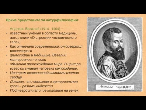 Яркие представители натурфилософии: Андреас Везалий (1514 - 1564) – известный учёный