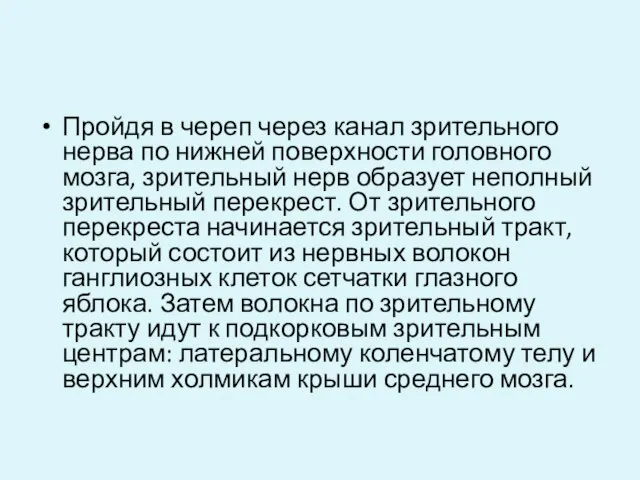 Пройдя в череп через канал зрительного нерва по нижней поверхности головного