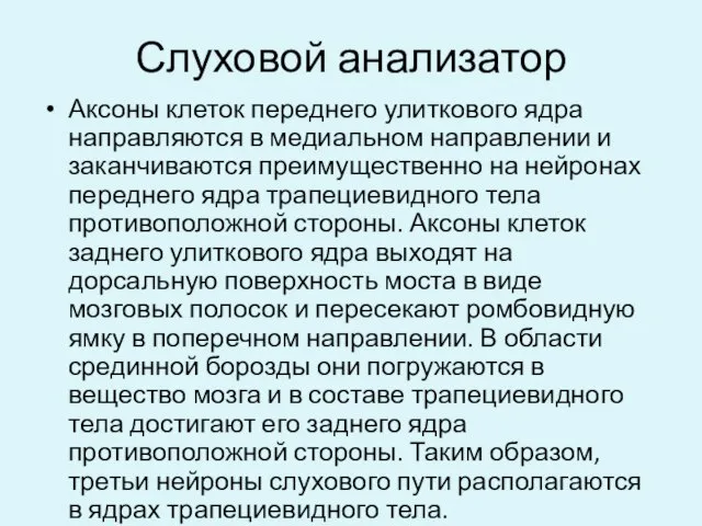 Слуховой анализатор Аксоны клеток переднего улиткового ядра направляются в медиальном направлении