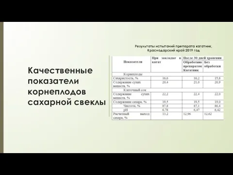 Качественные показатели корнеплодов сахарной свеклы Результаты испытаний препарата кагатник, Краснодарский край 2019 год