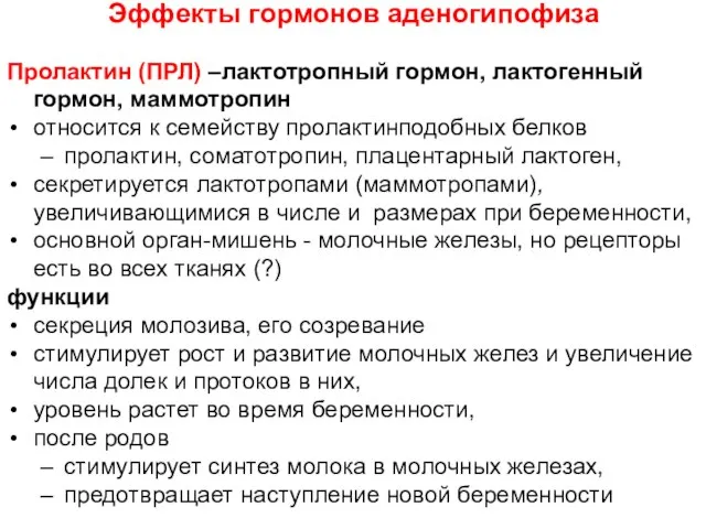 Эффекты гормонов аденогипофиза Пролактин (ПРЛ) –лактотропный гормон, лактогенный гормон, маммотропин относится