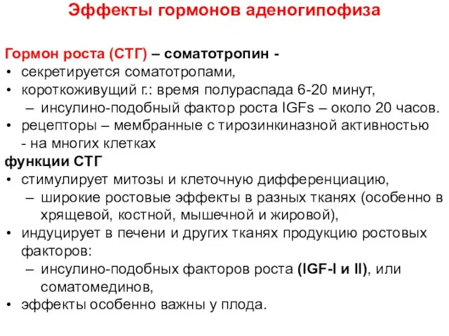 Эффекты гормонов аденогипофиза Гормон роста (СТГ) – соматотропин - секретируется соматотропами,