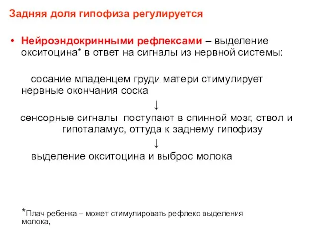 Задняя доля гипофиза регулируется Нейроэндокринными рефлексами – выделение окситоцина* в ответ