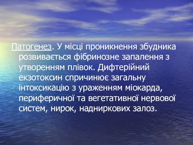 Патогенез. У місці проникнення збудника розвивається фібринозне запалення з утворенням плівок.