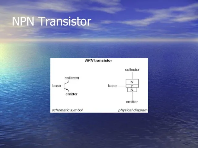 NPN Transistor