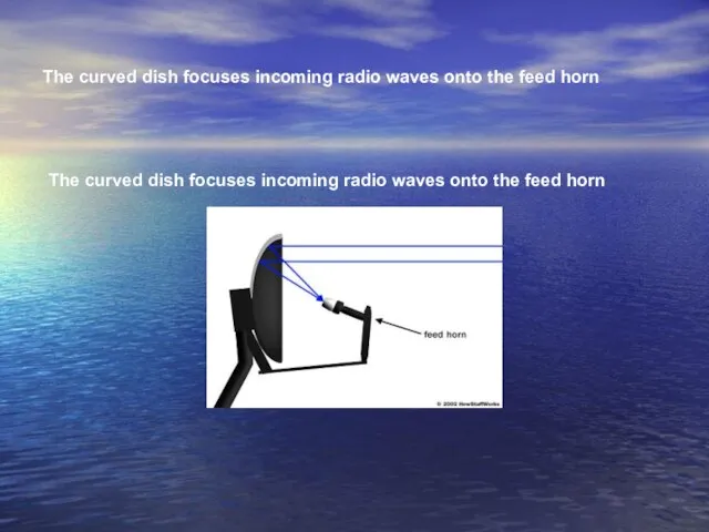 The curved dish focuses incoming radio waves onto the feed horn