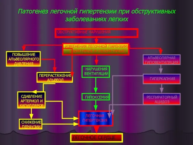 Патогенез легочной гипертензии при обструктивных заболеваниях легких ОБСТРУКТИВНЫЕ НАРУШЕНИЯ ПОВЫШЕНИЕ АЛЬВЕОЛЯРНОГО