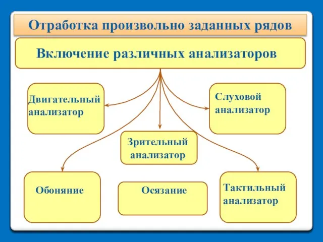 Отработка произвольно заданных рядов Включение различных анализаторов Слуховой анализатор Двигательный анализатор