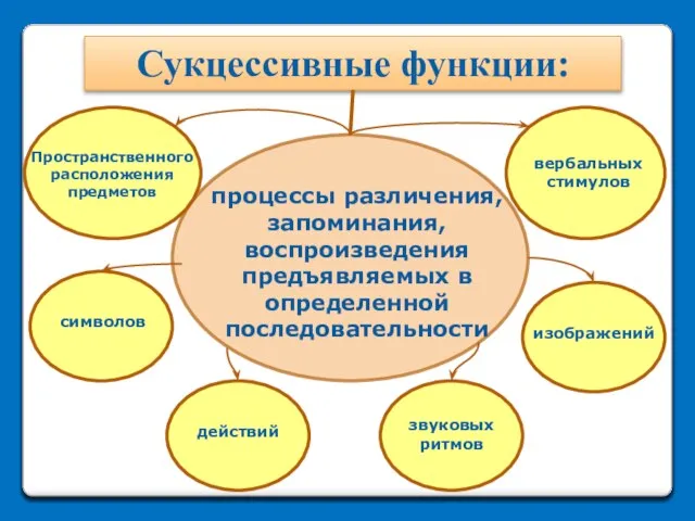 Сукцессивные функции: процессы различения, запоминания, воспроизведения предъявляемых в определенной последовательности Пространственного