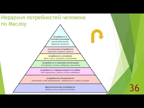 Иерархия потребностей человека по Маслоу 36