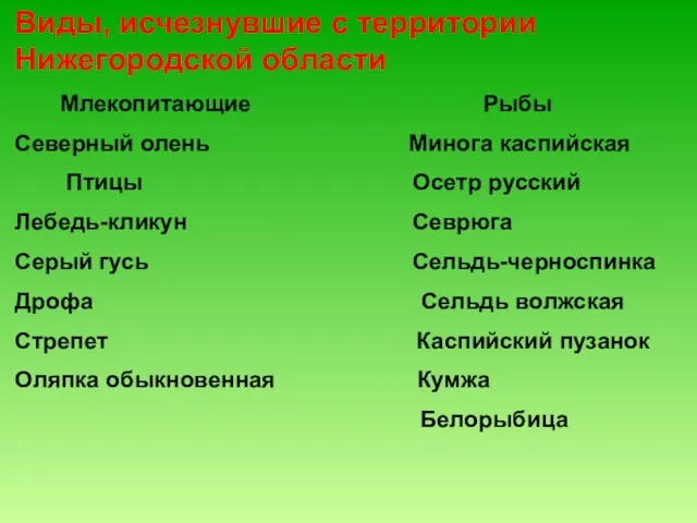 Виды, исчезнувшие с территории Нижегородской области Млекопитающие Рыбы Северный олень Минога